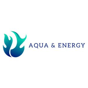Business Logo Aqua